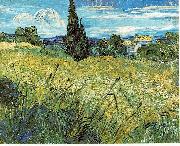 Vincent Van Gogh Green Wheat Field with Cypress oil painting on canvas